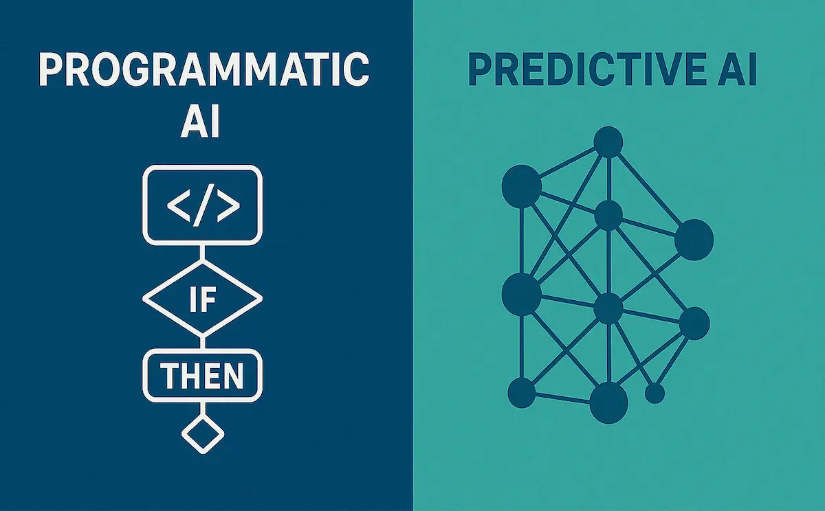 Programmatic vs Predictive AI